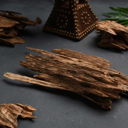 Collection image for: OUD  COLLECTION'S