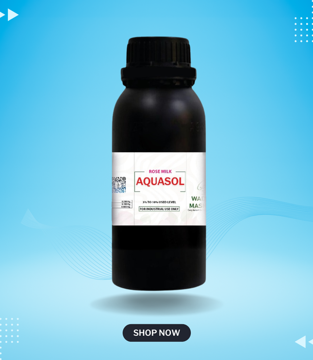 hAVE TO EDIT Our Vision of AQUSOL