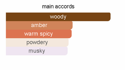 Essence of Ajmal's BROWNSY - AMBRE PIMENTE