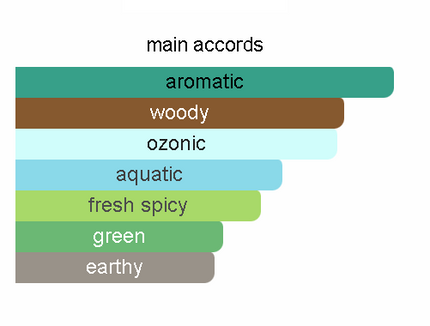Essence of AMOUAGE'S PORTRAYAL MAN - HOLOGRAPHIC MAN