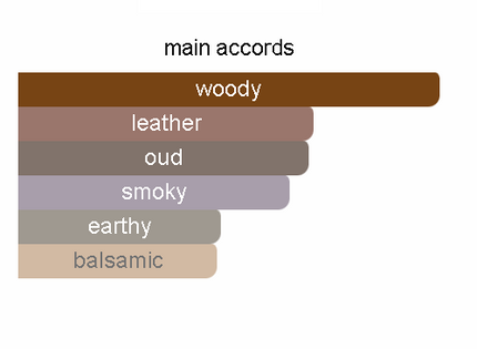 Essence of AMOUAGE'S SILVER OUD - SMOKEY TITANIUM